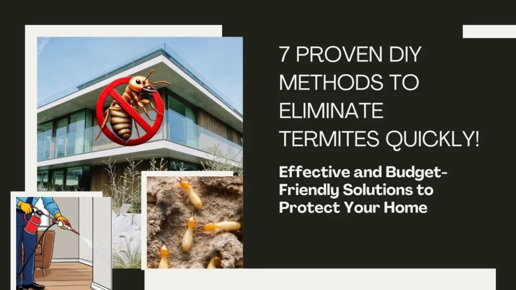 Natural Termite Control Methods