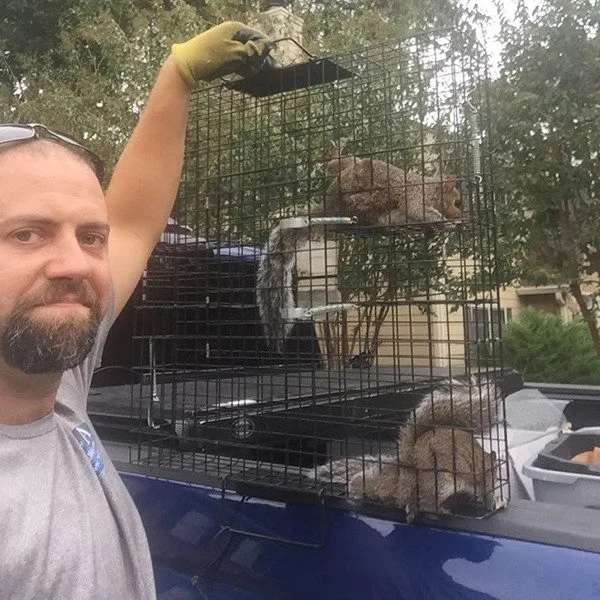 Natural Wildlife Removal Atlanta Methods