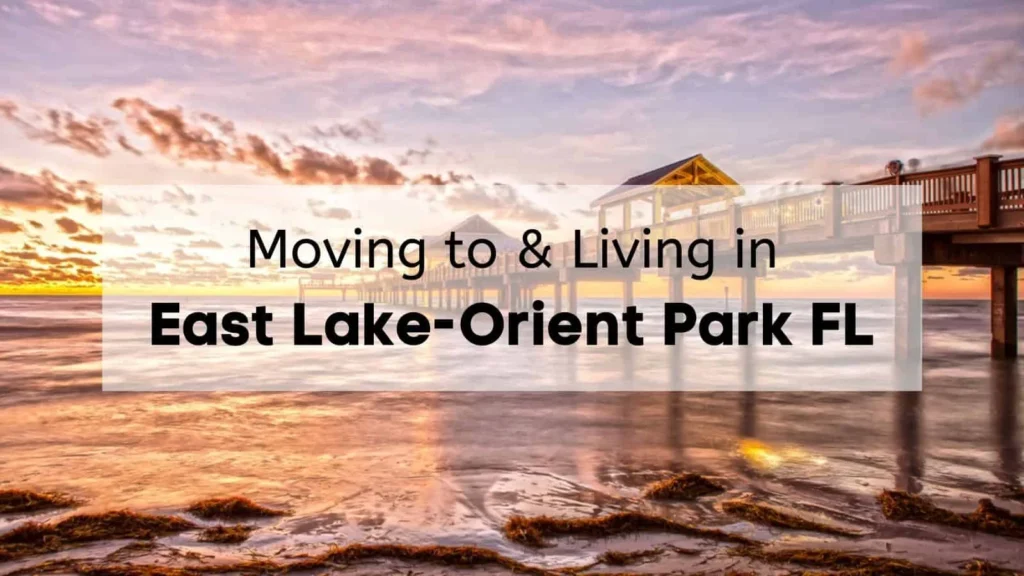 Natural wildlife removal east lake orient park methods