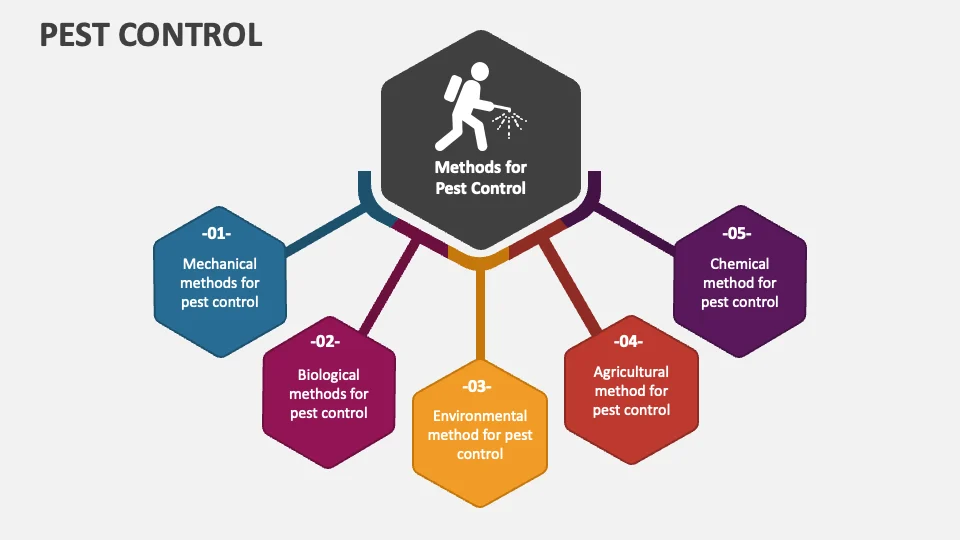 Pest Control East Point: Understanding the Problem