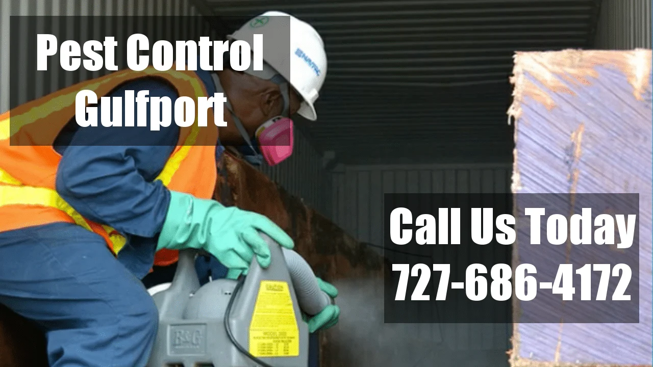 Pest Control Gulfport: Understanding the Problem
