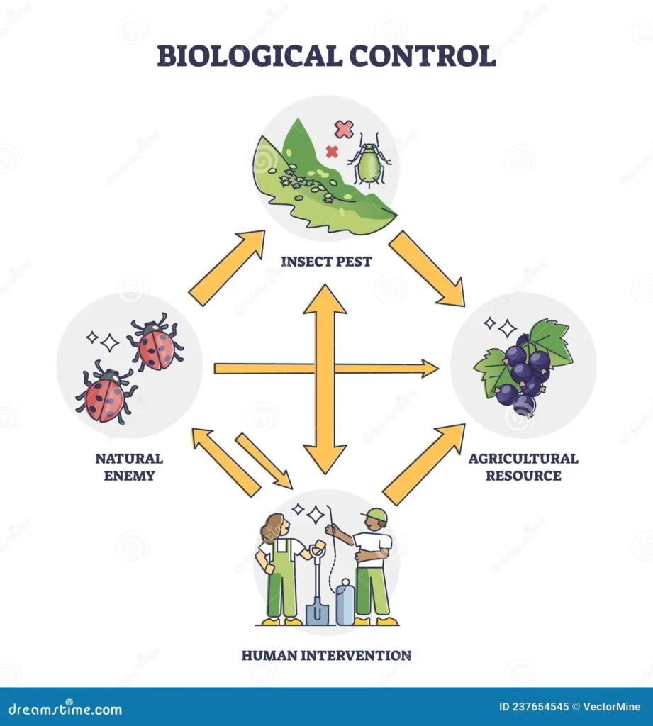 pest control keystone: Understanding the Biological Drivers