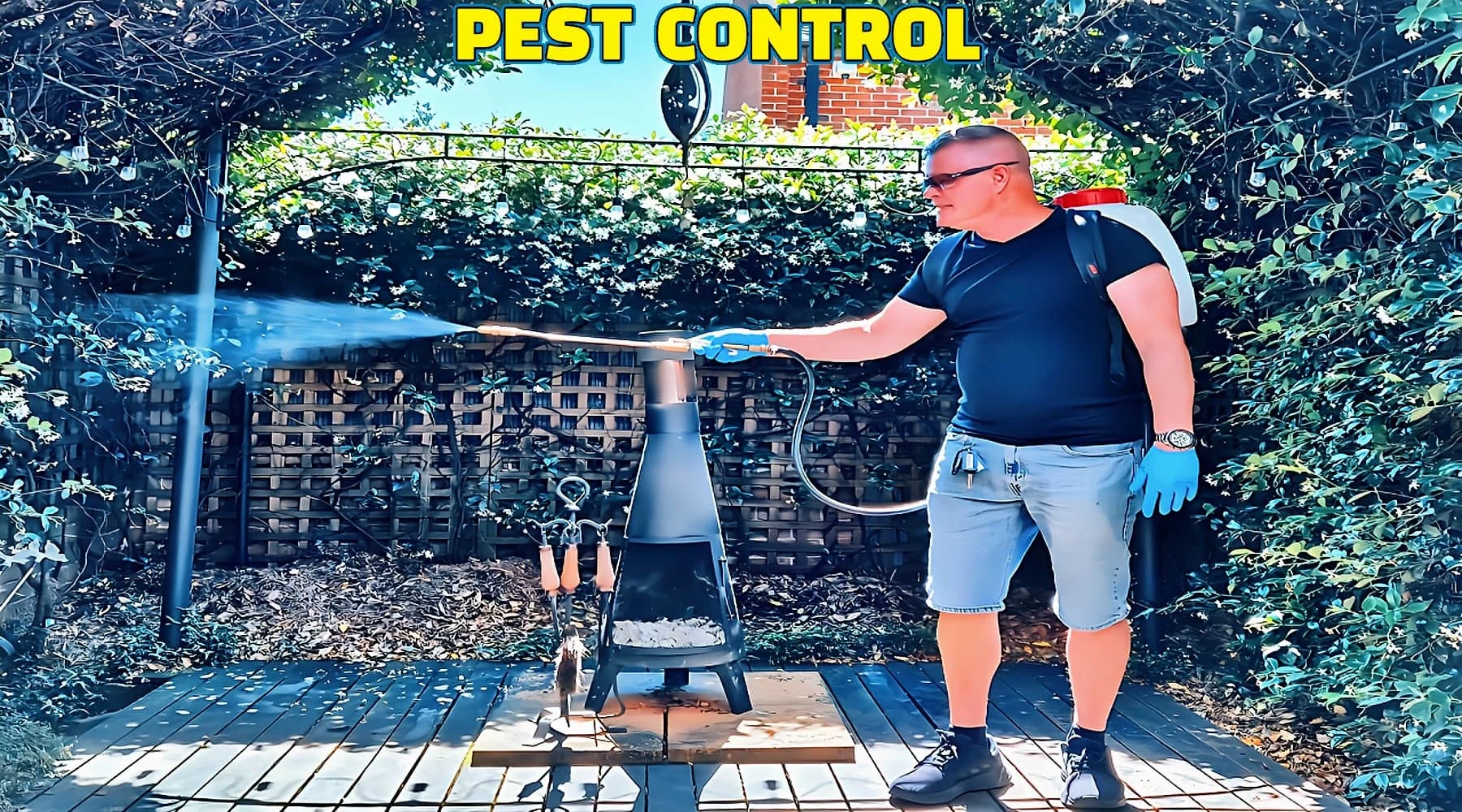 pest control royal palm beach: Why This Pest Appears in Homes