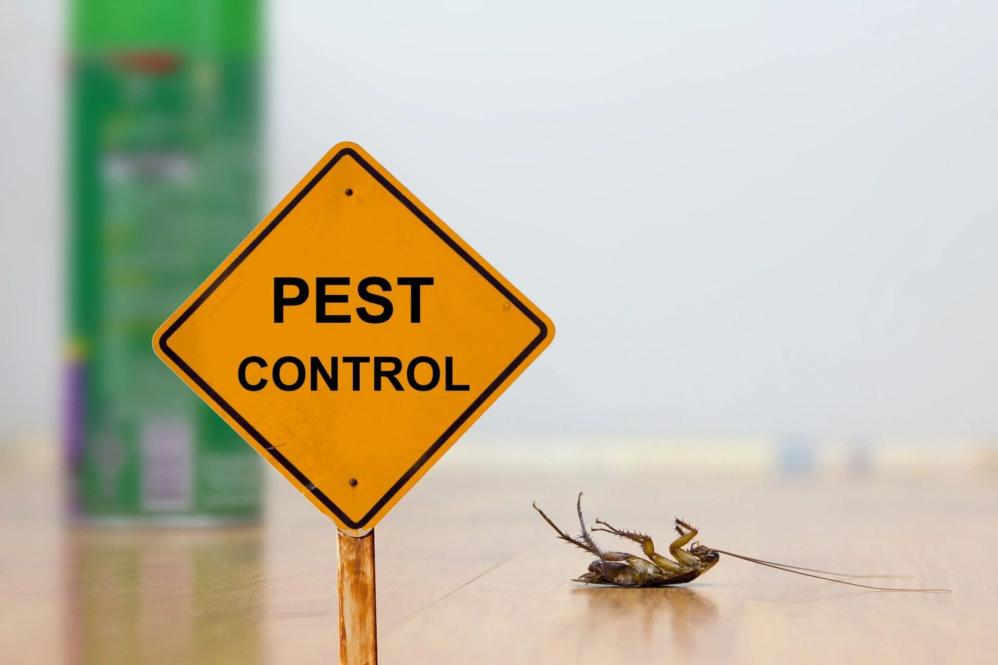 Pest Control White County: Understanding the Problem