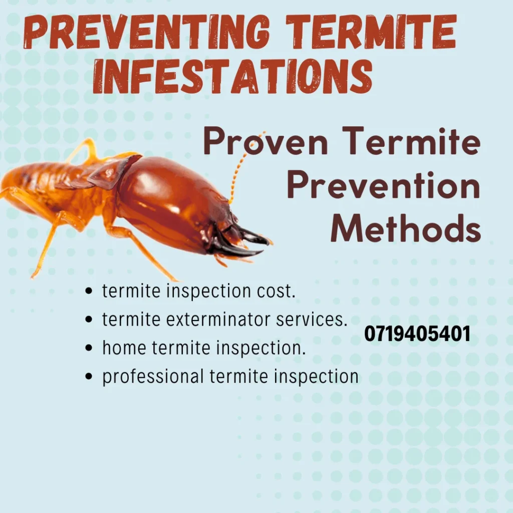 Prevention and Control of Termite Infestations