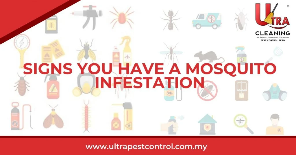Recognizing the Signs of a Mosquito Infestation