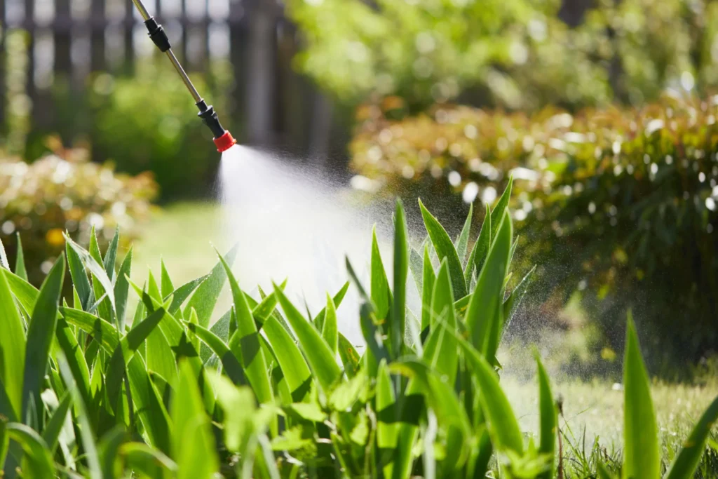 Seasonal Factors That Influence When to Spray for Pest Control