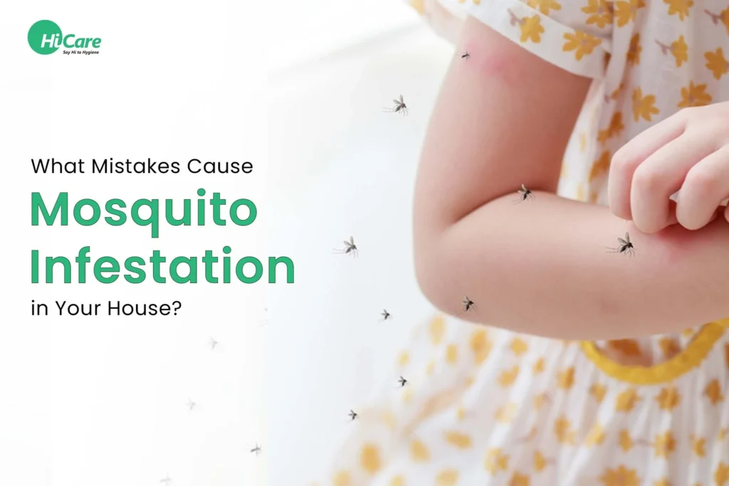 Signs of a mosquito problem in your Jupiter home