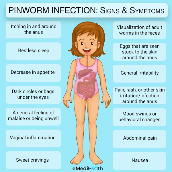 signs of infestation