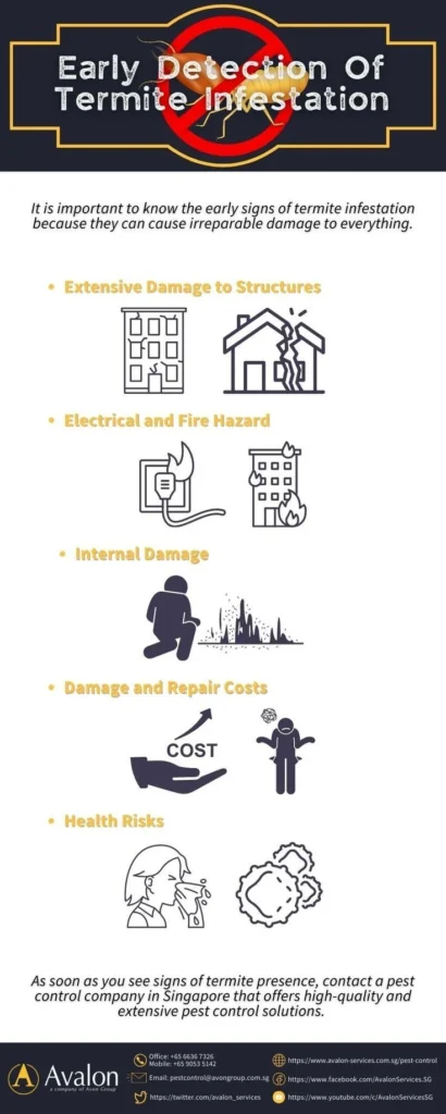 Signs of Infestation – Early Detection for Effective Termite Control Thonotosassa