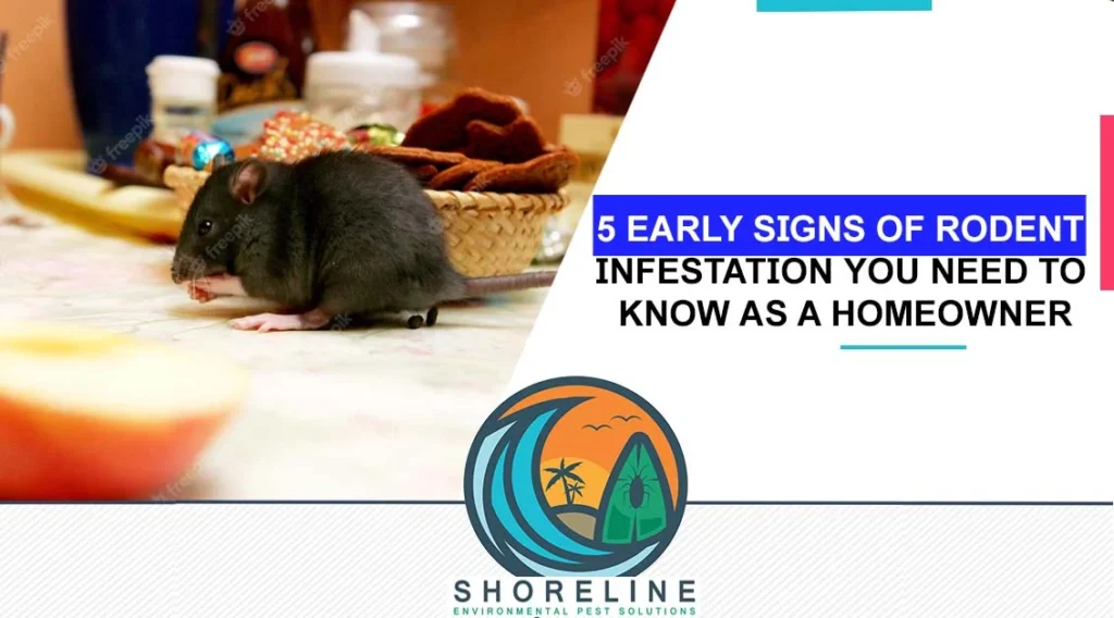 Signs of Infestation: How to Detect Wildlife Removal Palm Springs Issues Early