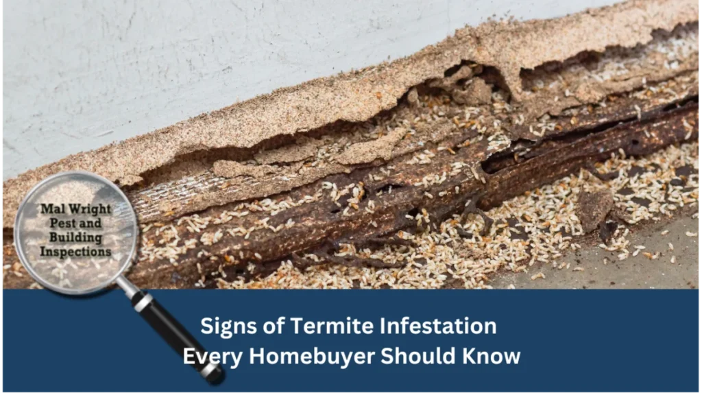 Signs of Infestation in Lake Magdalene Homes