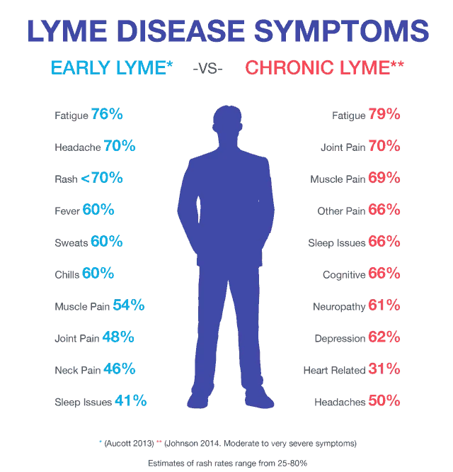 Signs of Lyme Disease