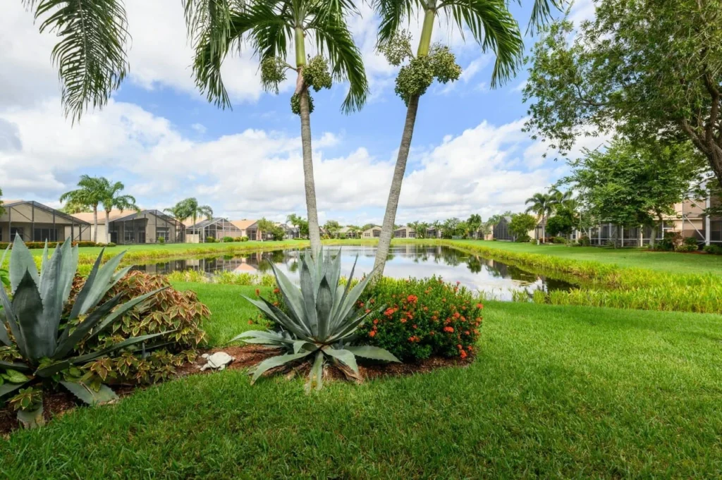Signs of wildlife infestation in Palm River Clair Mel homes