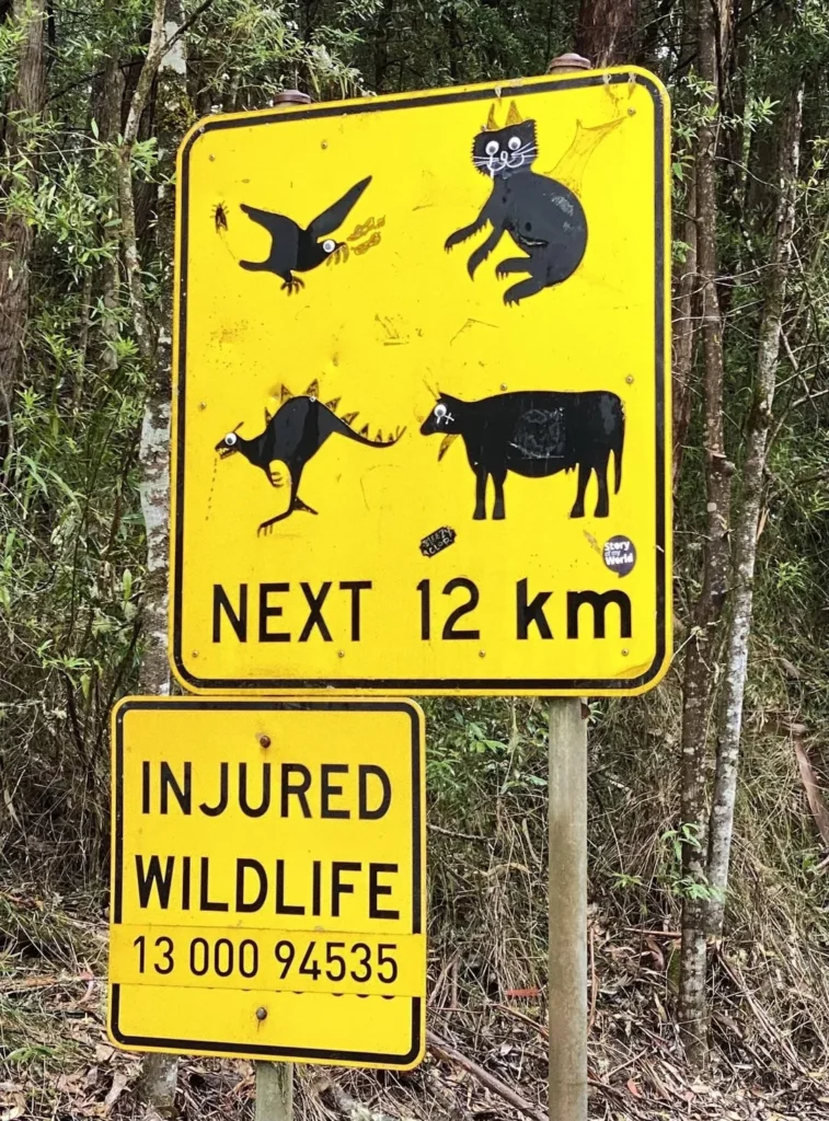 Signs of Wildlife Intrusion