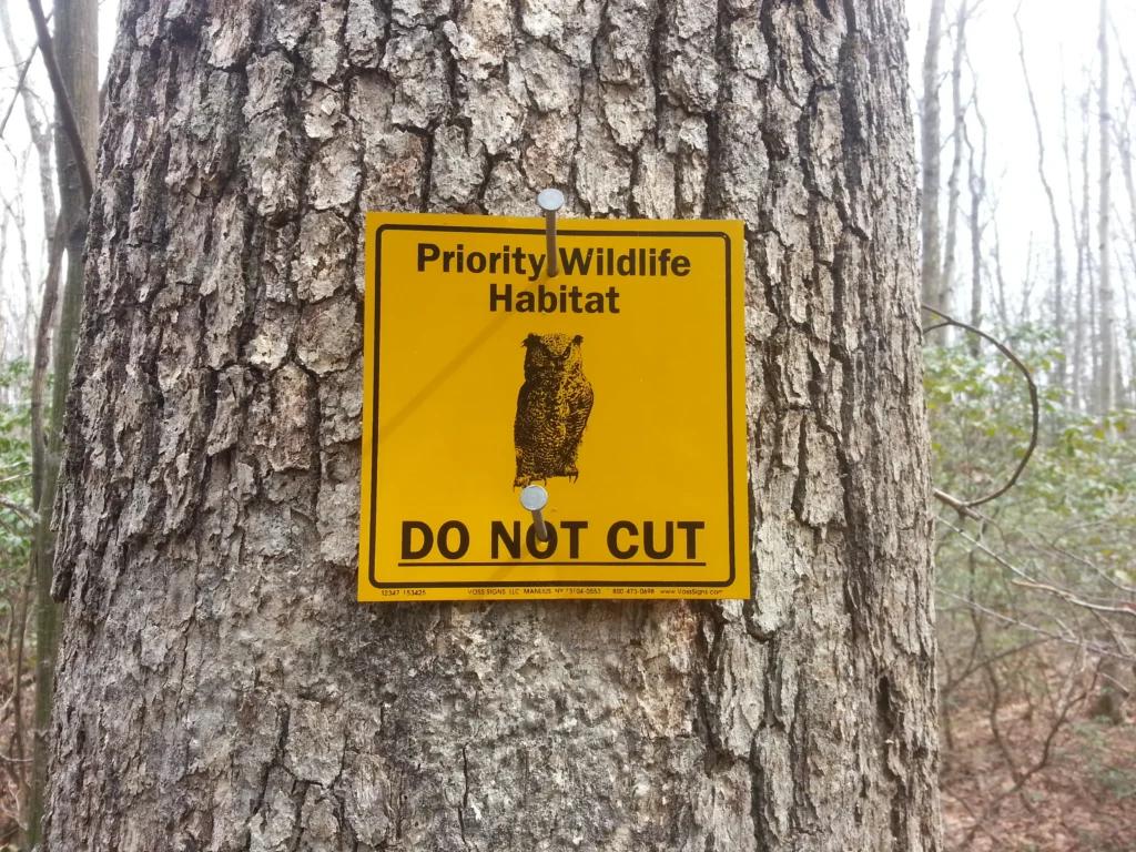 Signs of Wildlife Problems in Norcross Homes