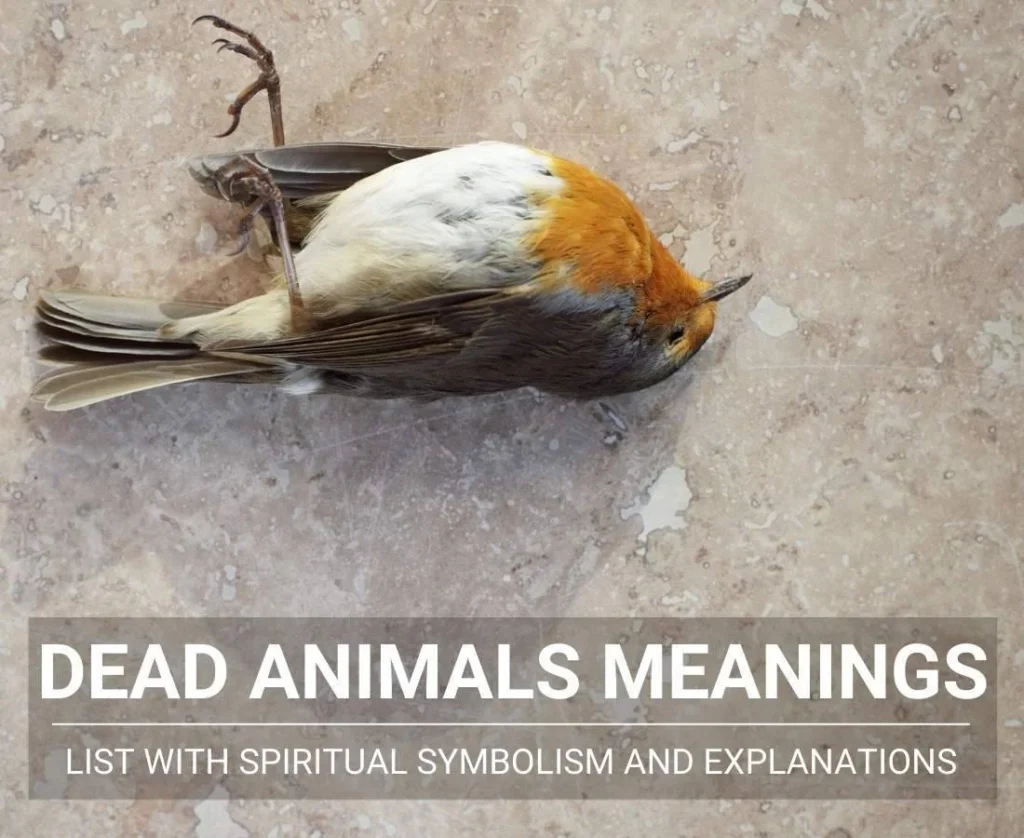Signs That a Dead Animal Is Inside Your Home