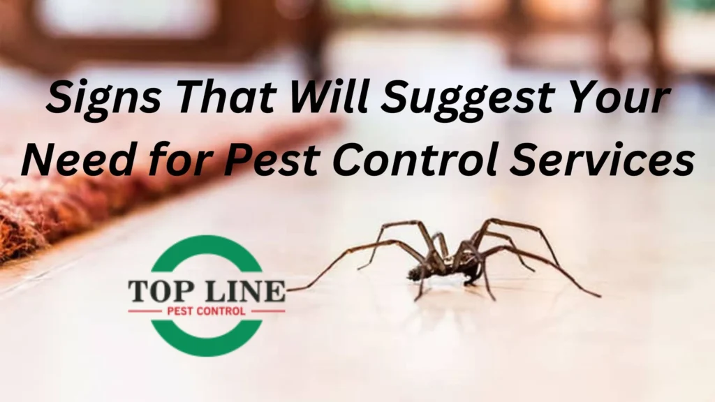 Signs that you need pest control Belle Glade