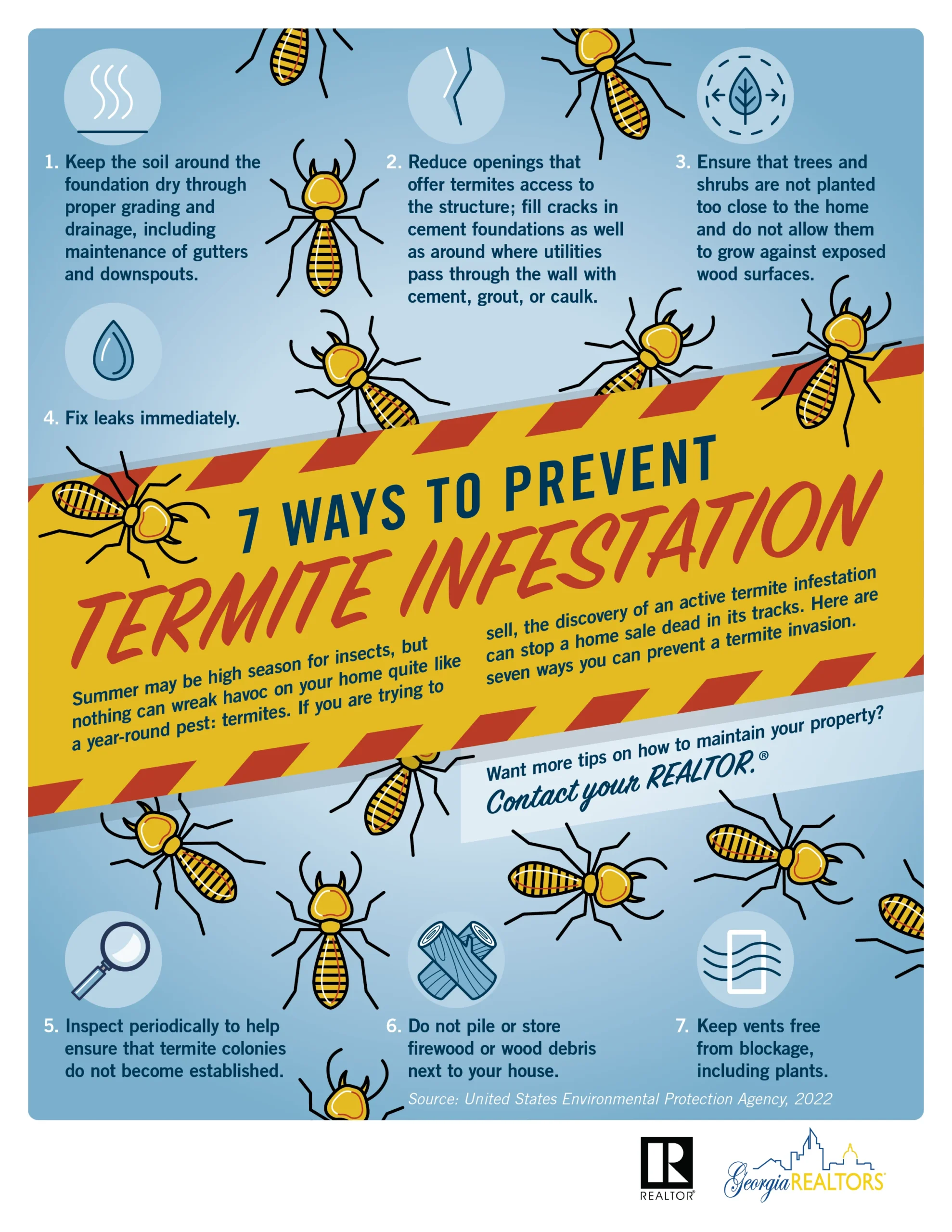 termite control atlanta: Understanding the Threat