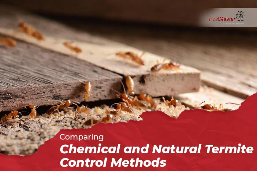 termite control canton: Natural Removal Methods