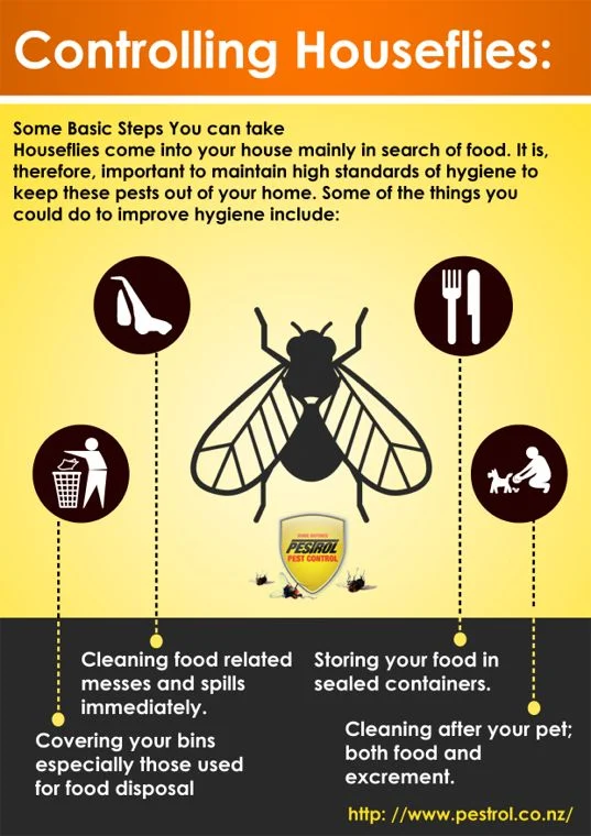 Understanding Fly Control: Why Flies Invade Your Home