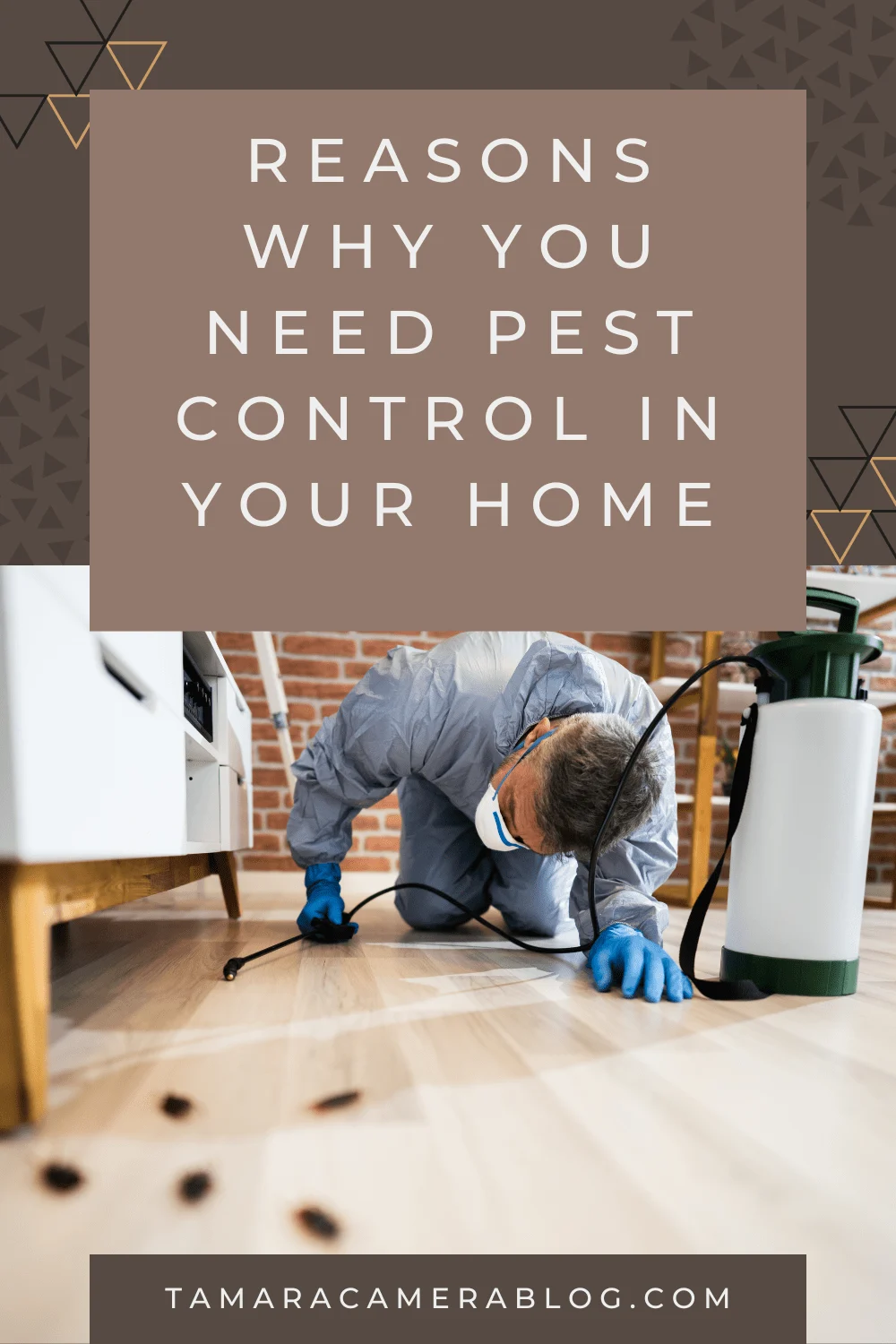 Understanding pest control bardmoor: Why pests invade your home
