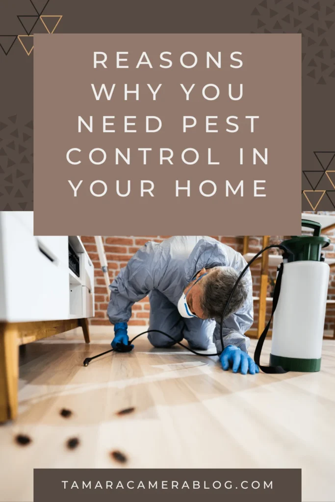 Understanding pest control hudson: Why Pests Invade Your Home