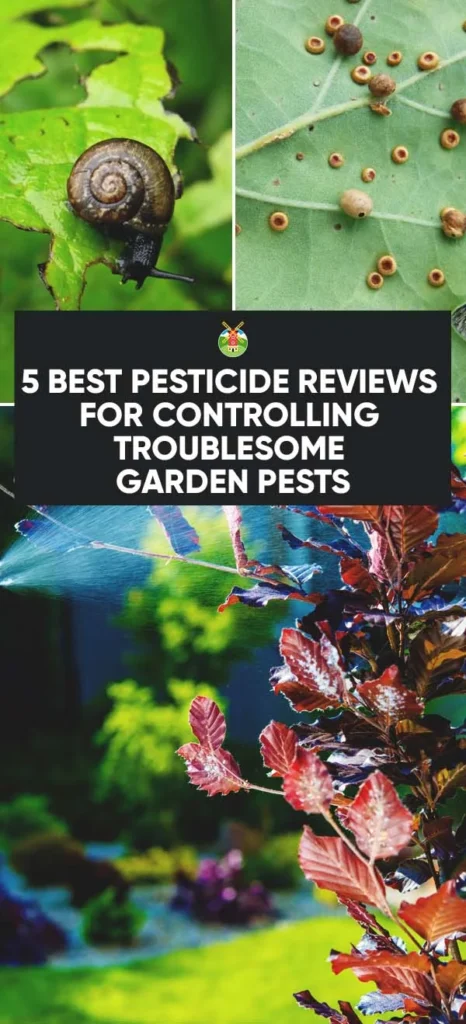Understanding pest control oakwood: Why pests target Oakwood homes