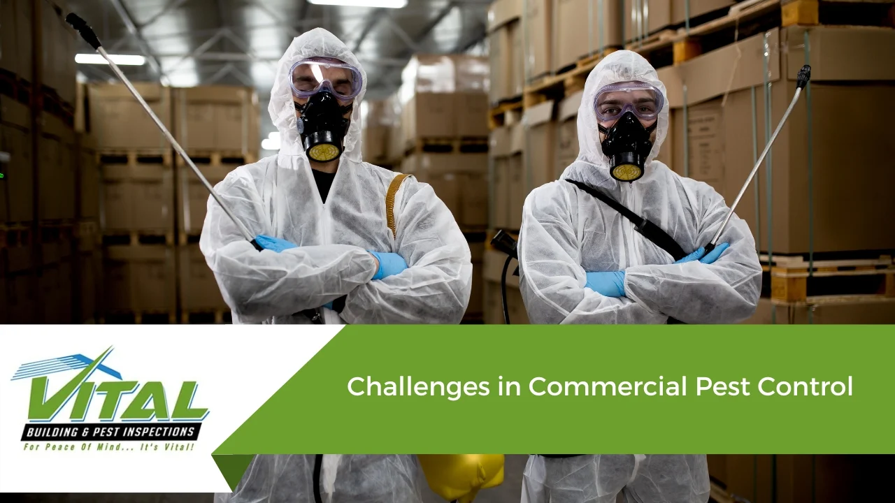 Understanding pest control Snellville challenges