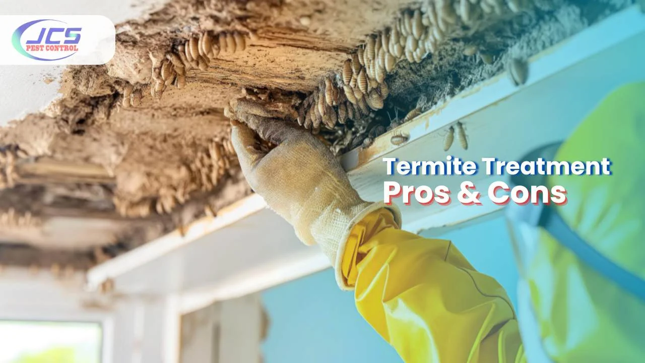 Understanding Termite Treatment: Why It Matters