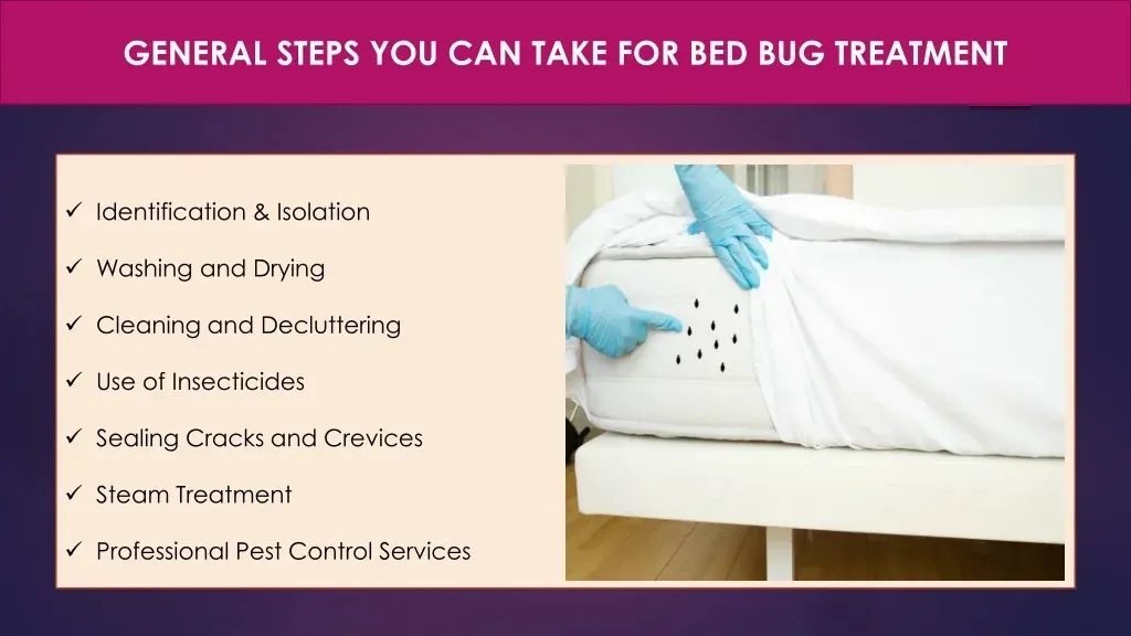 Understanding the Bed Bug Treatment Trinity: Why It Works