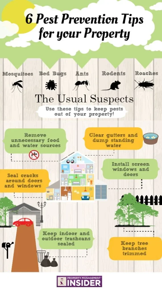 Understanding Why pest control Issues Arise in Your Home