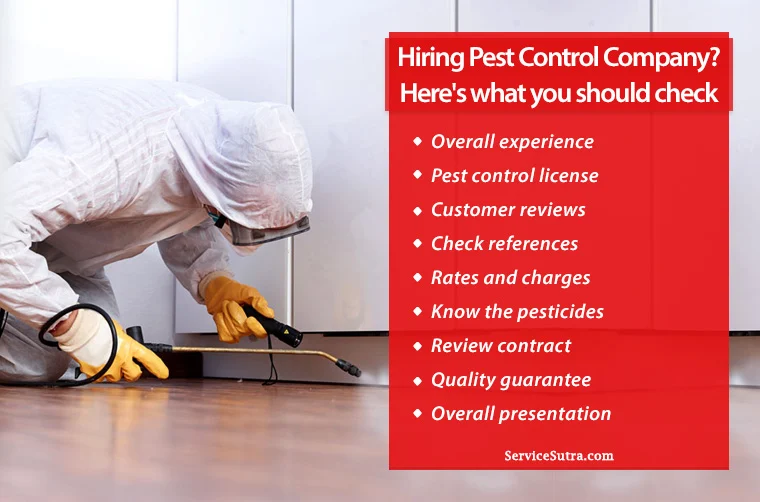 What Exactly Do Pest Control Jobs Involve?