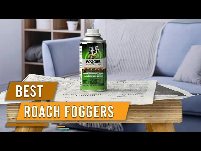 what is the best roach fogger: Key Factors to Consider