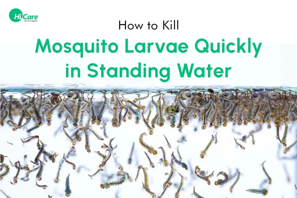 What kills mosquito larvae in standing water: Chemical and Product Treatments