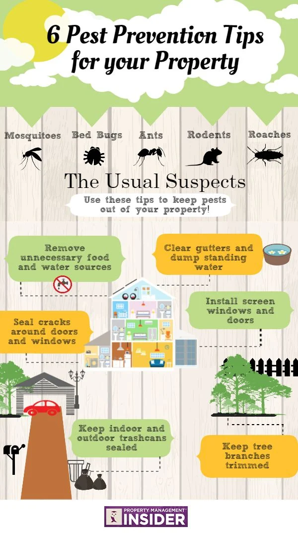 what to do when pest control comes: Preparing Your Home for the Visit