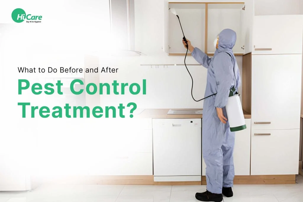 What to Expect After Pest Control Treatment – Immediate Effects