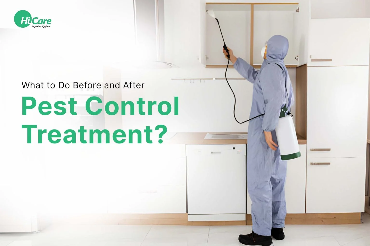 What to Expect After Pest Control Treatment: Immediate Effects