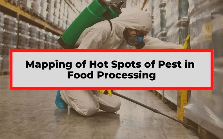 Where to Spray Pest Control: Understanding the Hotspots