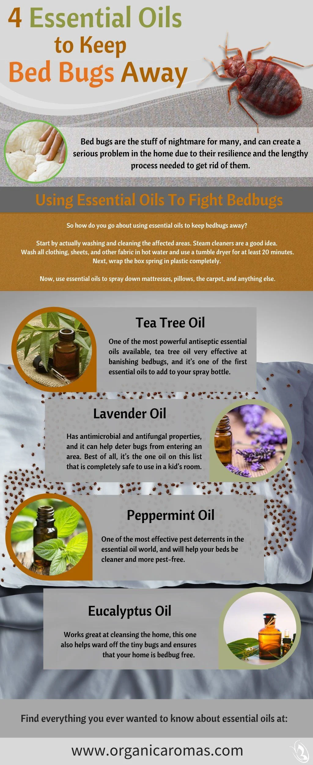 Why Bed Bug Treatment Oakwood Is Essential for Your Home