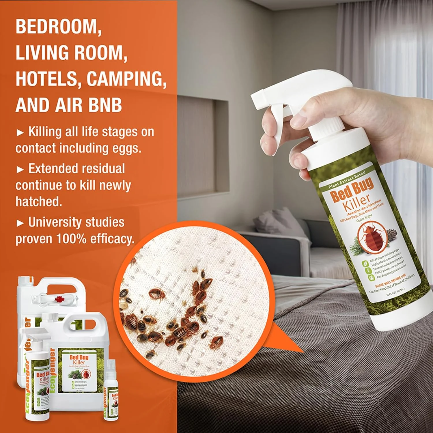 Why Bed Bugs Appear in Homes and Which Medicine Is Best for Bed Bugs