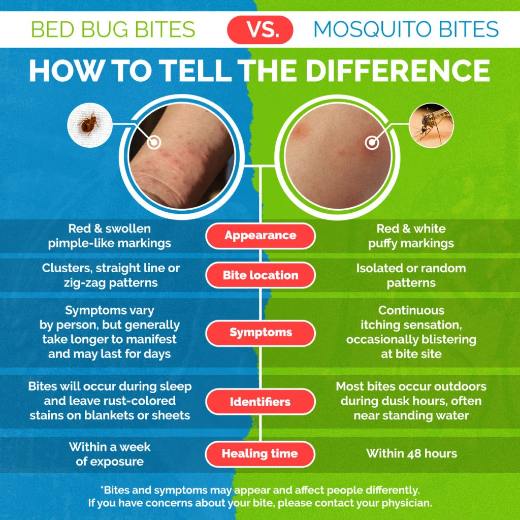 Why Bed Bugs Bite You