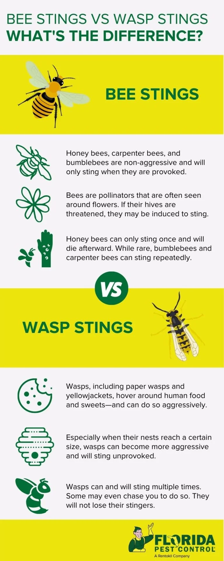 Why Bee, Wasp and Hornet Stings Bites on Humans Occur in Homes