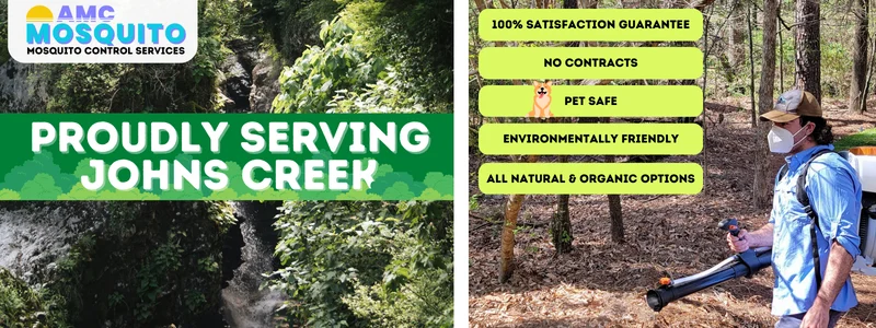 Why Mosquito Control Johns Creek GA Is Essential