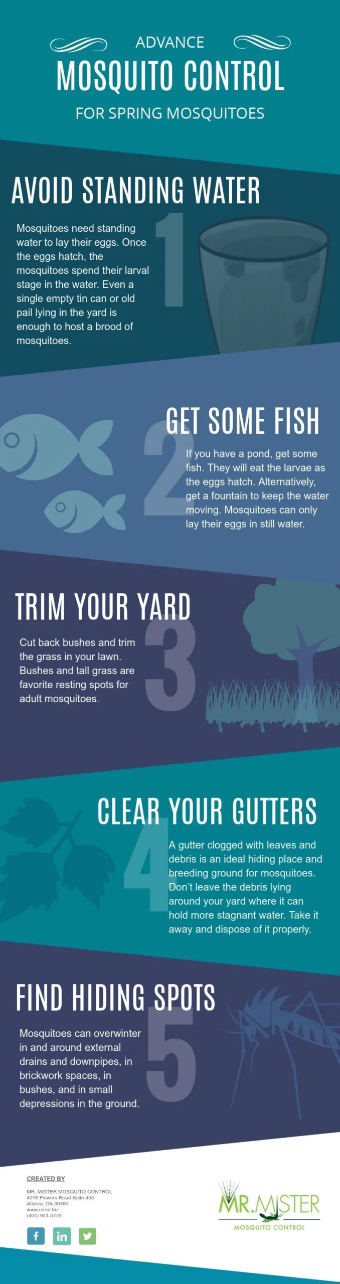 Why Mosquito Control Tarpon Springs Is Needed: Understanding the Pest