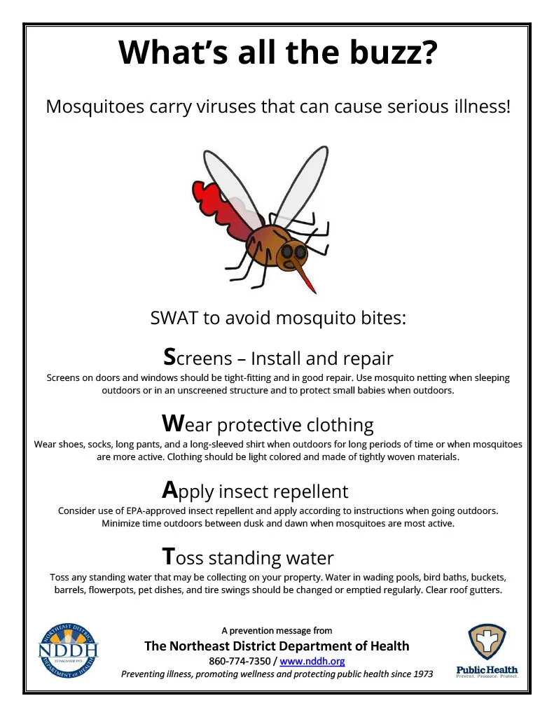 Why Mosquitoes Thrive in Woodstock Homes