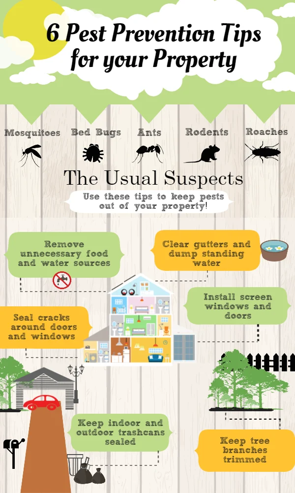 Why Pest Control and Dog Safety Matter Together