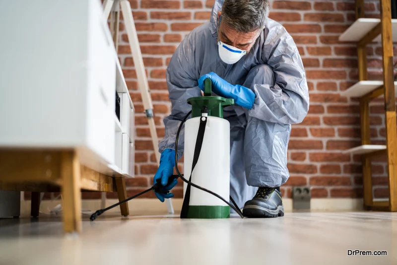 Why Pest Control Brandon is Essential