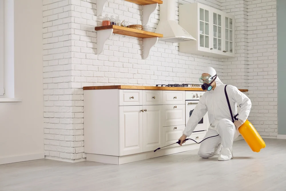 Why pest control canton is essential for every homeowner