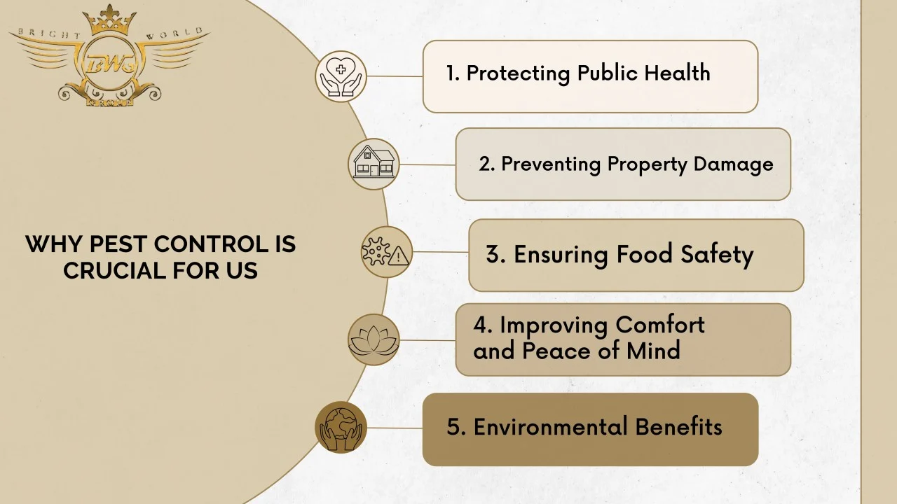 Why Pest Control Delray Beach Is Crucial: Understanding Local Pest Pressures